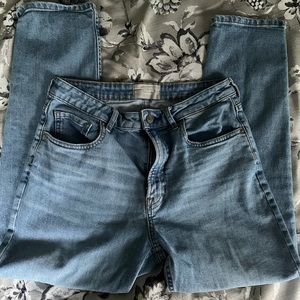 Everlane Curvy Cheeky Crop Jean